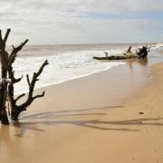 Covehithe beach in Suffolk has been recognised by a national newspaper (Image: Newsquest)