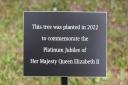 The plaque that had been unveiled at the ceremony at Rosedale Park, Lowestoft that was subsequently stolen.