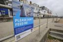 This sign deterring people from feeding the seagulls in Lyme Regis. After seeing people still feeding gulls in Lowestoft, Danny Steel, from Lowestoft Vision, said: \