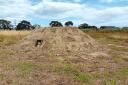 One of the reptile and amphibian shelters Picture: East Suffolk Council