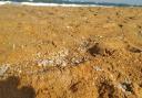 Plastic pollution on the beach in Sri Lanka after the X-Press Pearl vessel sank.