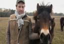 Lord Somerleyton with one of the Exmoor ponies within the 1,000-acre rewilding project at Fritton Lake, on the Somerleyton Estate