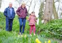 The Lowestoft Lions Club Easter Egg Hunt at the Sparrows Nest Gardens.Searching for clues.Picture: James Bass