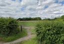 A new 2.5-acre dog park has been given the green light for a former horse grazing field in Oulton, Lowestoft.