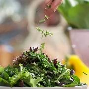With utensils like herb scissors and gourmet knife sets, it's simple to prepare light, fragrant salads.