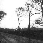 Weird Norfolk: The old man of Hopton. Pictured: Night closes in on the A12 where a Lowestoft police constable had a spine-chilling encounter with the unexplained. Date: 24 Dec 1980. Picture: Archant Library
