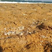 Plastic pollution on the beach in Sri Lanka after the X-Press Pearl vessel sank.