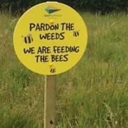 Signs for East Suffolk Council's Pardon the weeds campaign allowing parts of the district to 're-wild'