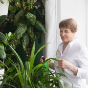 Ask the expert about how to use your pension to fund a conservatory extension on your home