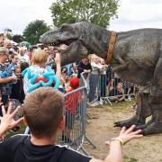 The dinosaur roadshow proved popular at the Lowestoft Lions Charity Family Fun Day last year. Picture: Mick Howes