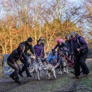 Catch events including Husky racing this weekend in Suffolk