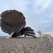 One of the 'library labradors' - prior to being colourfully designed - next to the Aldeburgh scallop.