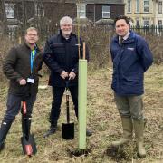 Planting the willows. Councillor Ryan Harvey (left) with Network Rail engineers Stewart Cowan (centre) and Liam Allen (right).