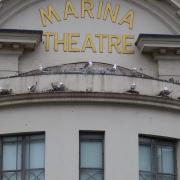 Kittiwakes nesting on the Marina Theatre in Lowestoft. Picture: Dick Houghton