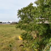 The former Sanyo factory site in south Lowestoft that has been earmarked for 350 new homes. Picture: Mick Howes