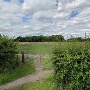 A new 2.5-acre dog park has been given the green light for a former horse grazing field in Oulton, Lowestoft.