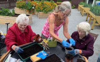 Users of the community allotment. Picture: YMCA Trinity Group
