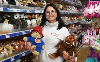 Adelina Hariga at the ALPYN Toys and Games shop in Lowestoft town centre. Picture: Mick Howes