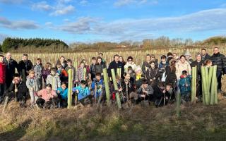 14th Lowestoft Scout Group planted some 650 trees at Woods Meadow Country Park